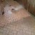 This is a picture of a patio which has been cleaned with Algaecide.  As you can see the mold and algae has been killed off and is being easily removed by a jetter after a week with a great finish.